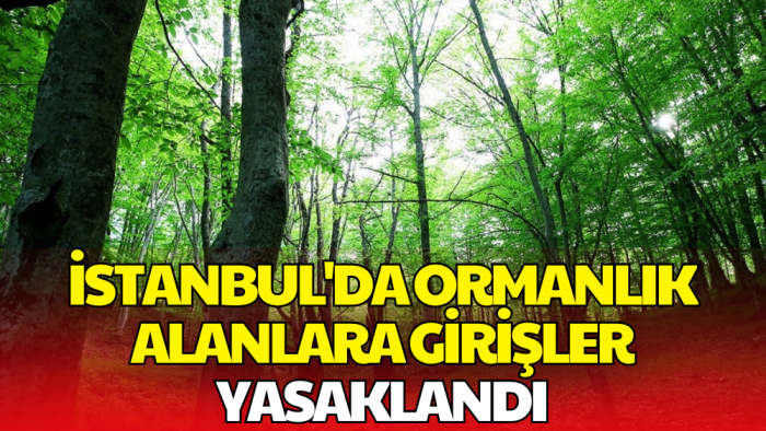 İstanbul Valiliği Duyurdu: Ormanlık Alanlara Girişler Yasaklandı